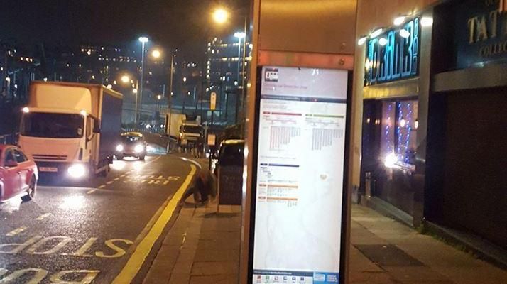 Bus stop outside the Drink Inn. (External). Published on 17-12-2016