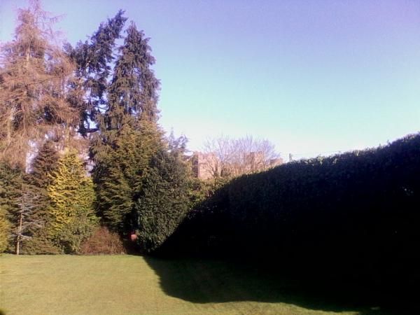 (Garden). Published on 01-04-2016