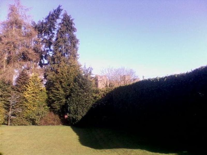 (Garden). Published on 01-04-2016 