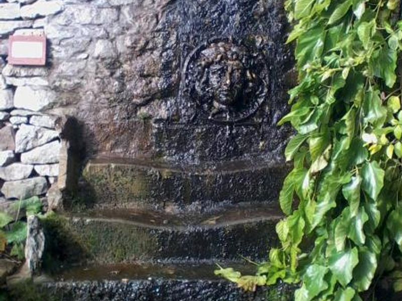 (Garden). Published on 22-10-2014 