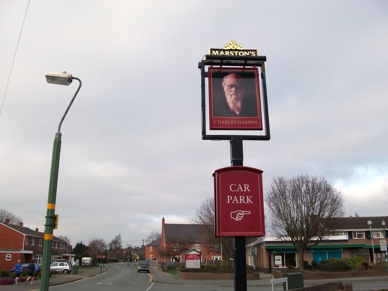 Charles Darwin, Shrewsbury - The current pub sign!. (Pub, Sign). Published on 27-09-2012 