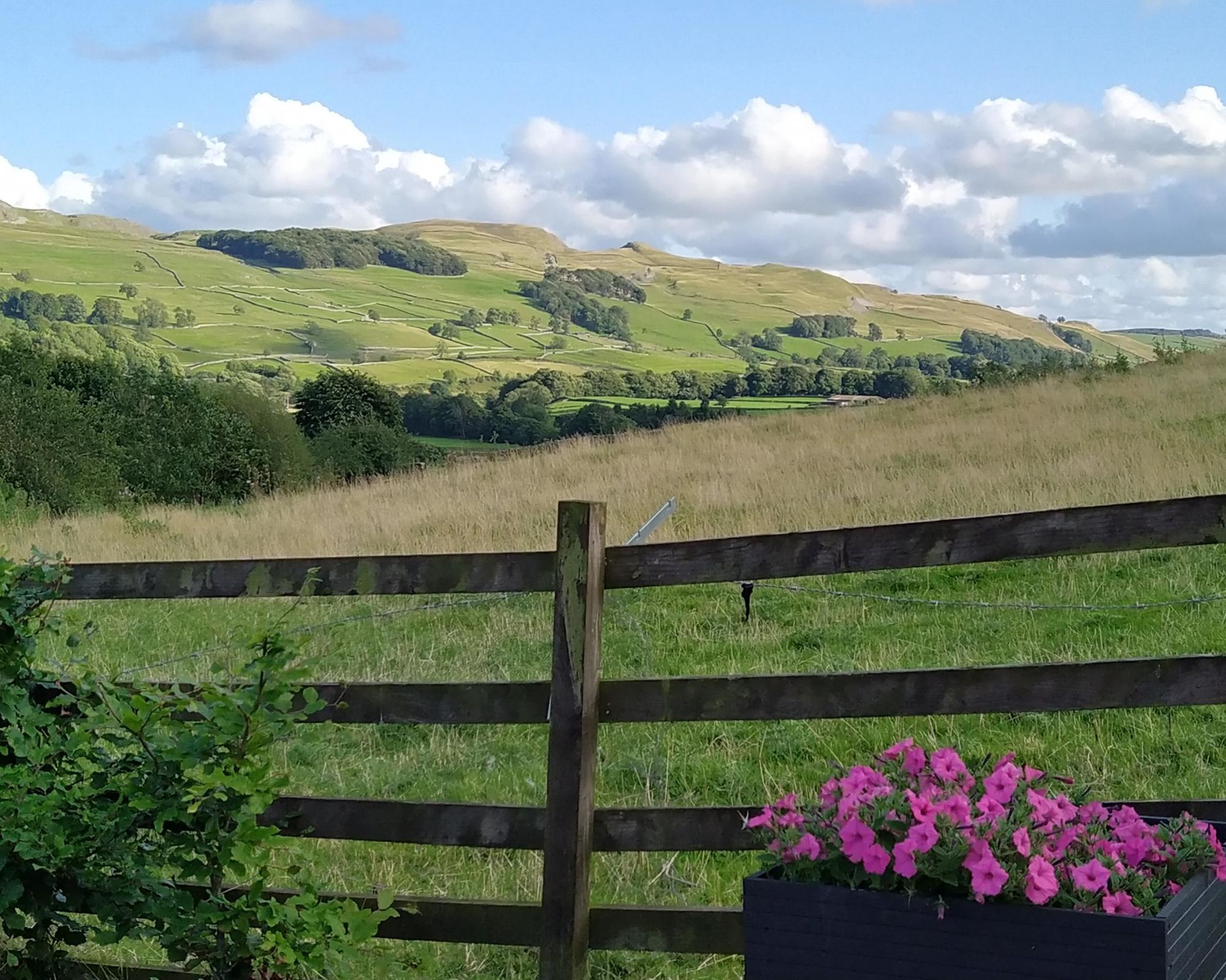 View from Beer Garden. (Pub, Garden). Published on 27-08-2024