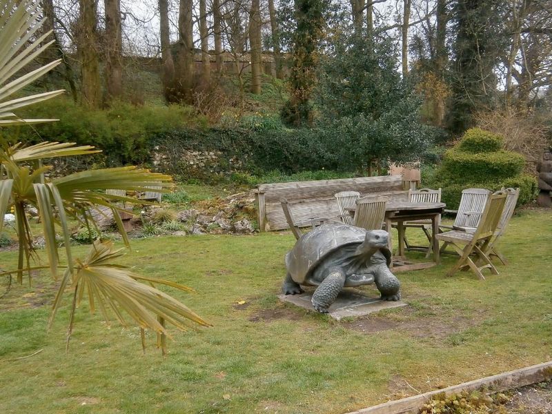 Beck Hall, Tortoise in garden, April 2019. (Pub, External). Published on 02-05-2019