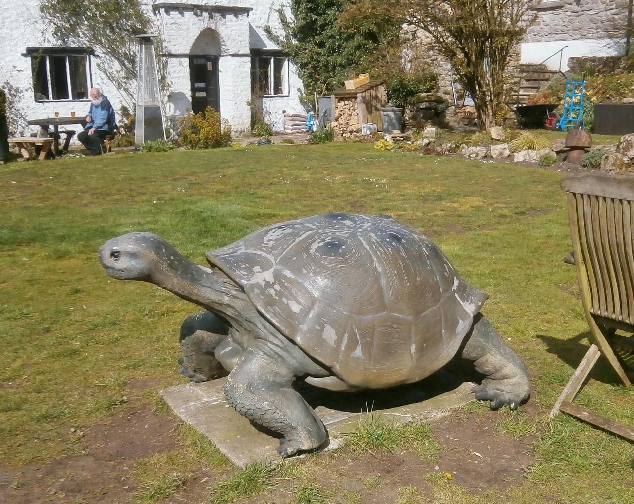 Beck Hall Tortoise and pub front, April 2019. (Pub, External). Published on 02-05-2019