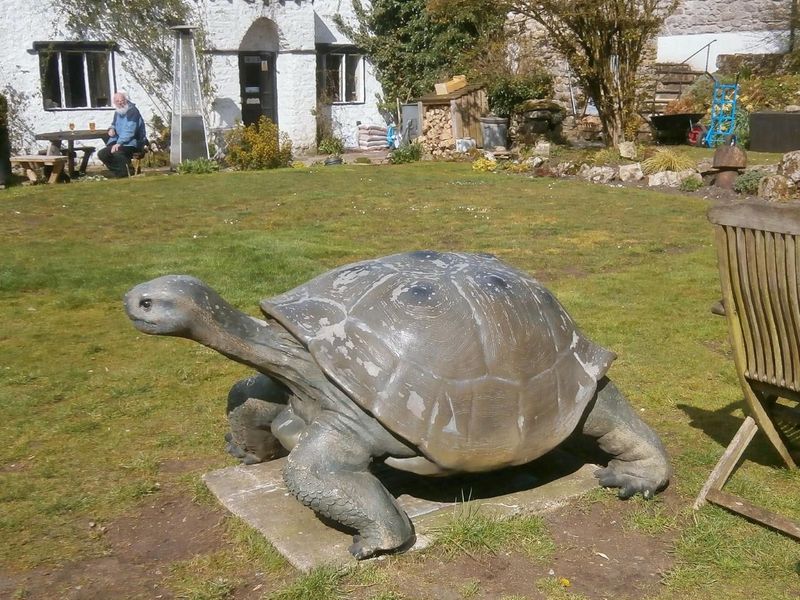 Beck Hall Tortoise and pub front, April 2019. (Pub, External). Published on 02-05-2019