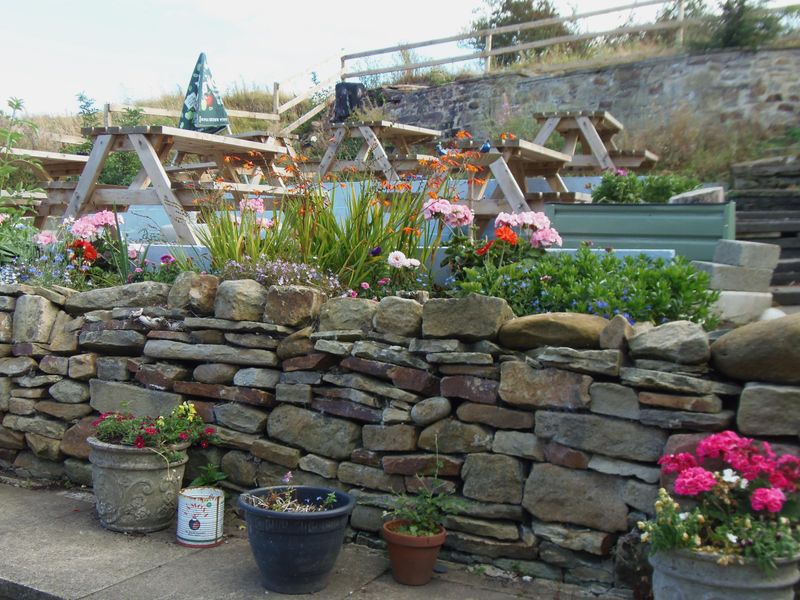 Rear Terrace August 2025. (Pub, Garden). Published on 01-09-2025 