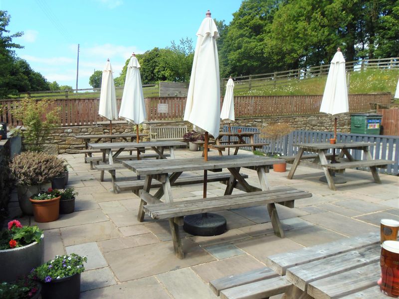 Beer Garden June 2023. (Pub, Garden). Published on 11-06-2023