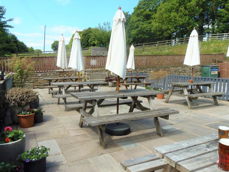 Beer Garden June 2023. (Pub, Garden). Published on 11-06-2023 