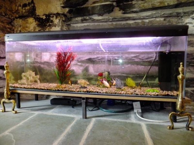 Fish tank, dining room, Helwith Bridge Inn 2014. (Pub, Bar). Published on 04-08-2014