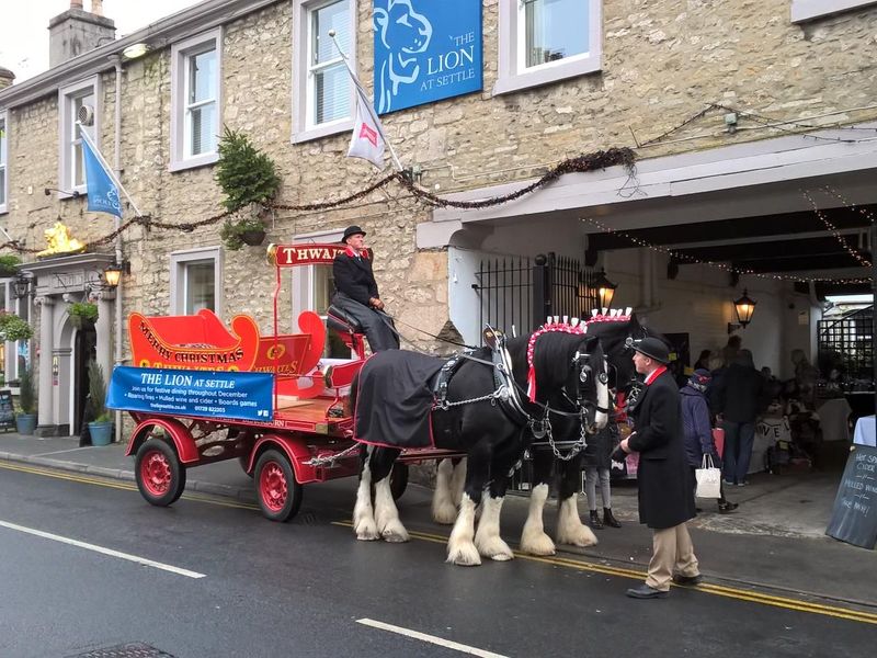 Thwaites Shire horse, the Lion, Settle, Christmas 2017. (Pub, External). Published on 14-02-2018