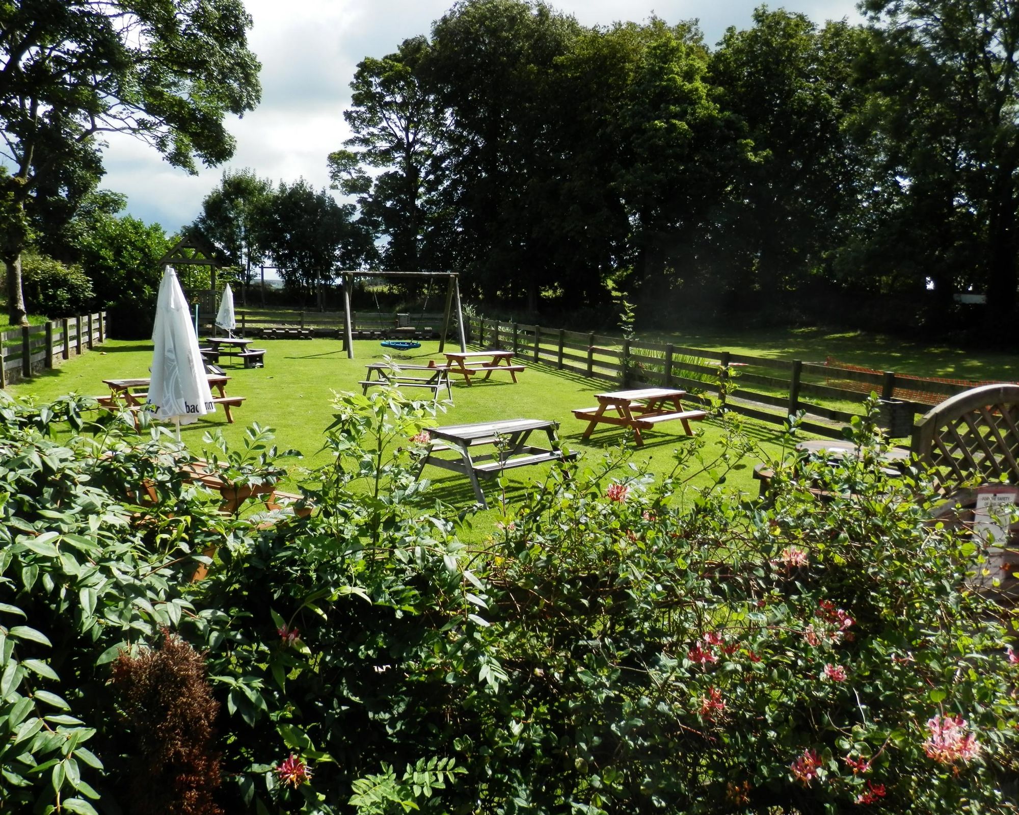 Back Garden July 2020. (Pub, Garden). Published on 03-08-2020