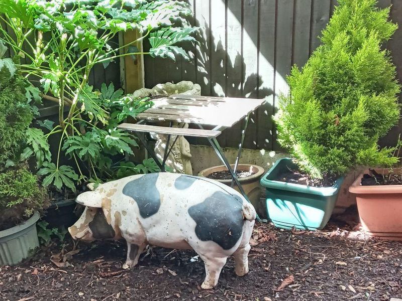 (Garden). Published on 14-04-2024 