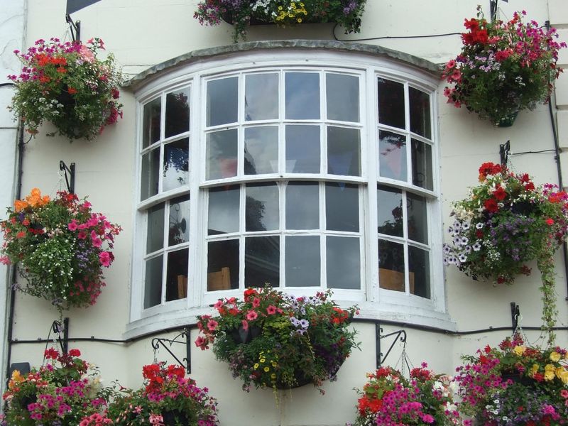 Falcon - Huntingdon - July 2017. (Pub, External). Published on 06-07-2017 