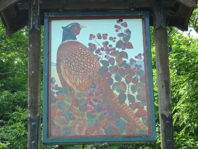 Pheasant - Keyston. (Pub). Published on 06-11-2011