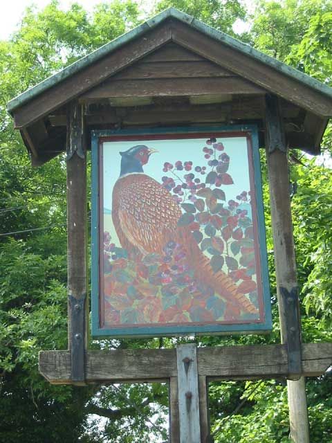 Pheasant - Keyston. (Pub). Published on 06-11-2011