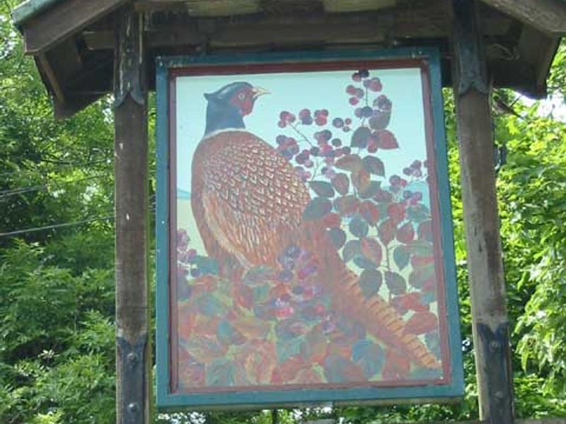 Pheasant - Keyston. (Pub). Published on 06-11-2011 