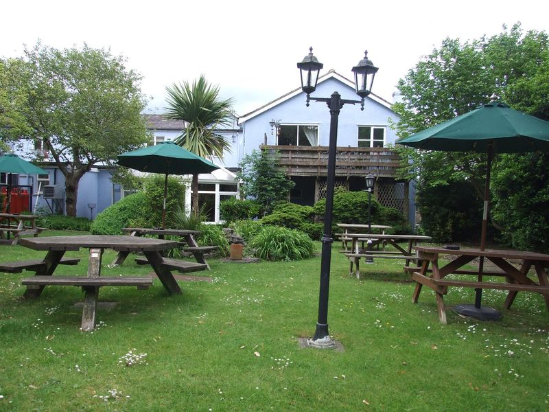 Jester - pub garden June 2019. (External, Garden). Published on 26-06-2019