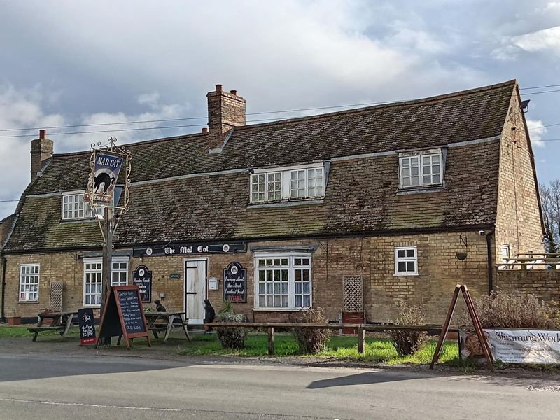 Published on 02-03-2026 