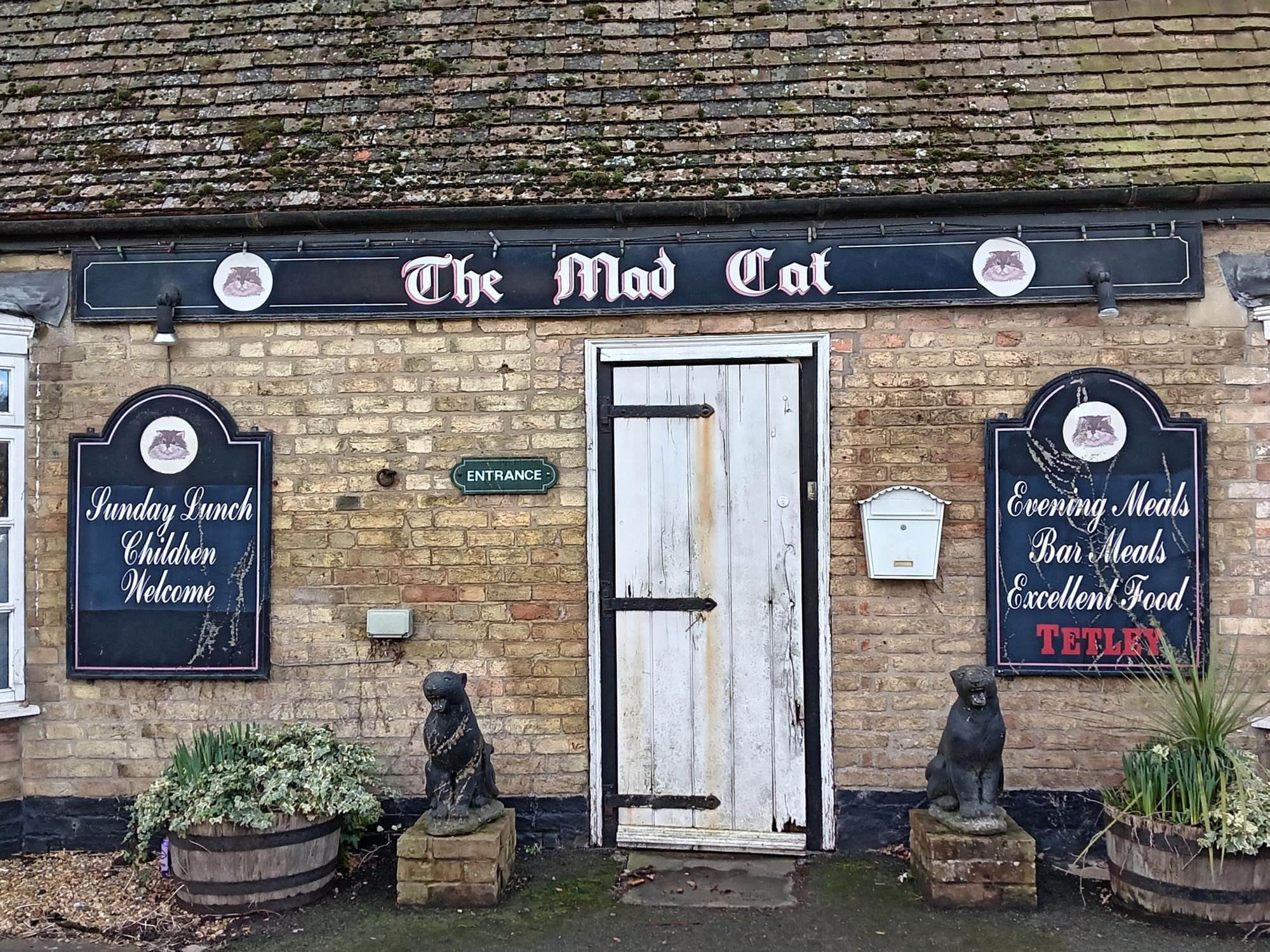 Published on 02-03-2026