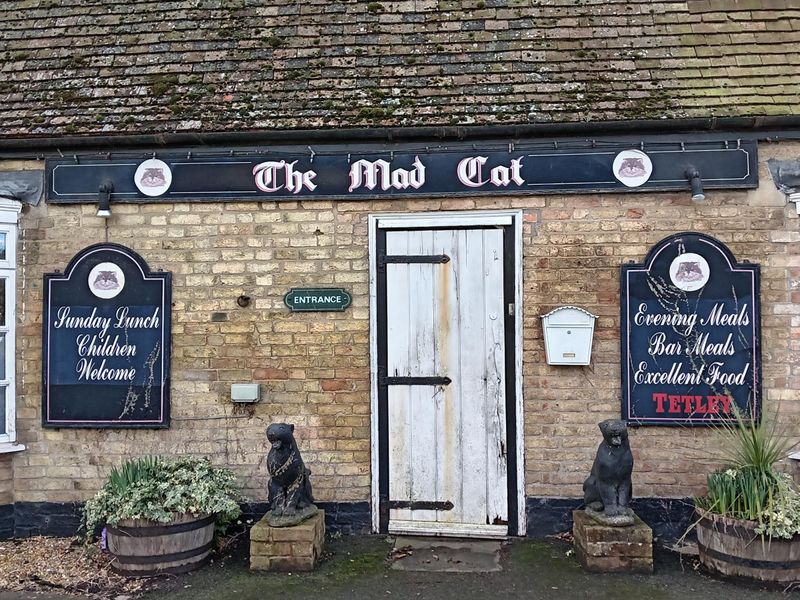 Published on 02-03-2026 