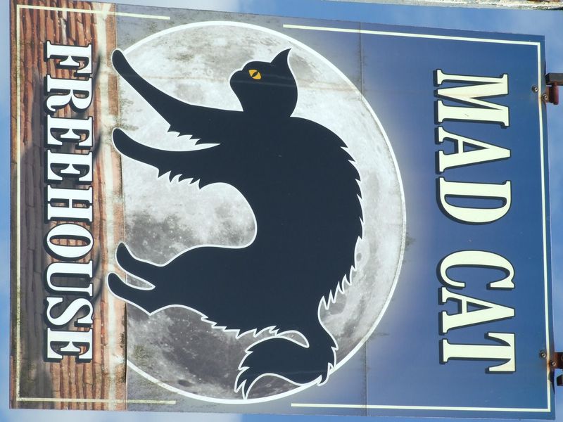 Mad Cat July 2019. (Pub, Sign). Published on 08-07-2019 