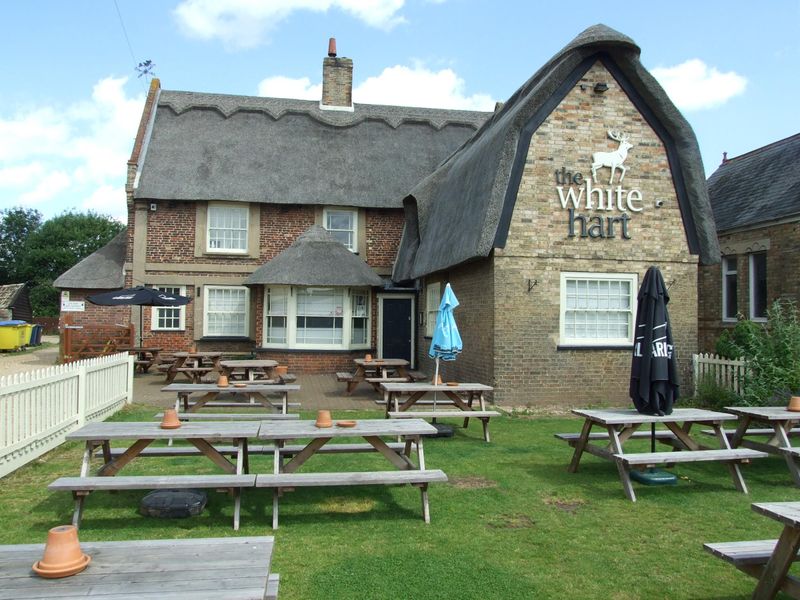 Whitr Hart July 2019. (Pub, Garden). Published on 08-07-2019 