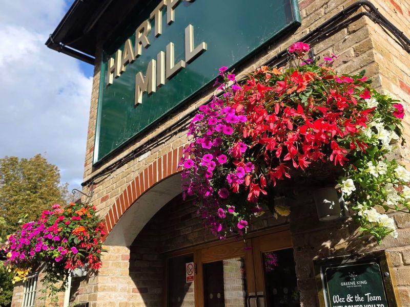 Published on 08-03-2026 