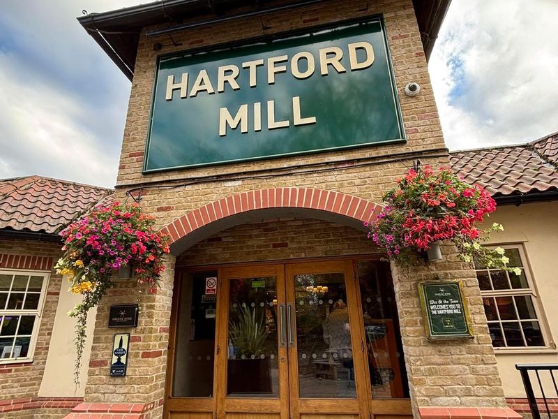 Published on 08-03-2026 