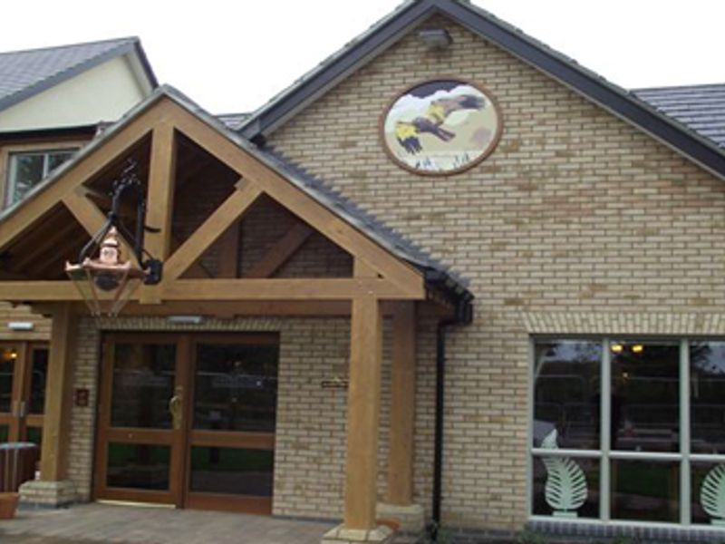 St Ives - Marsh Harrier. (Pub, External). Published on 17-10-2013 