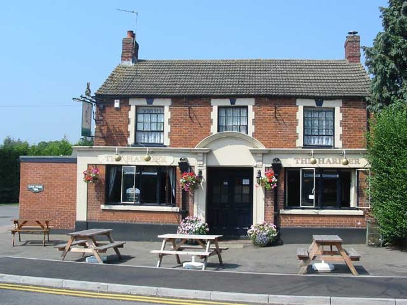 Harrier - Brampton. (Pub). Published on 06-11-2011 