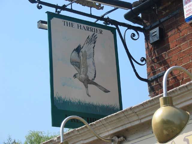 Harrier - Brampton. (Pub). Published on 06-11-2011