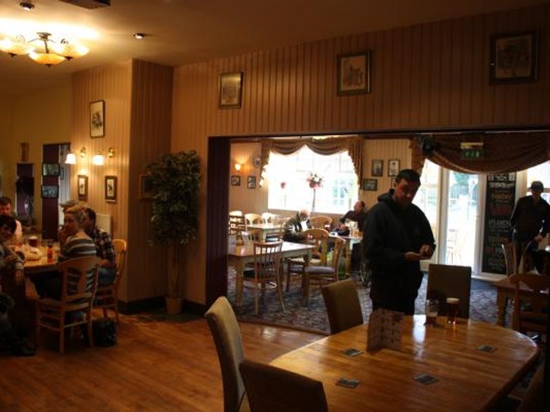 Hunting Tree - Lounge. (Bar, Customers). Published on 06-03-2013 