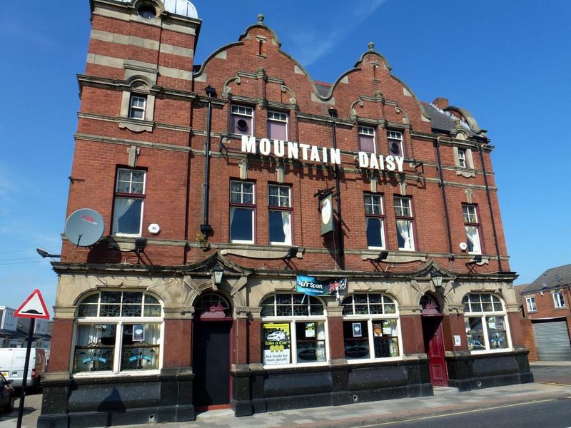 Mountain Daisy. (Pub, External, Key). Published on 11-09-2015