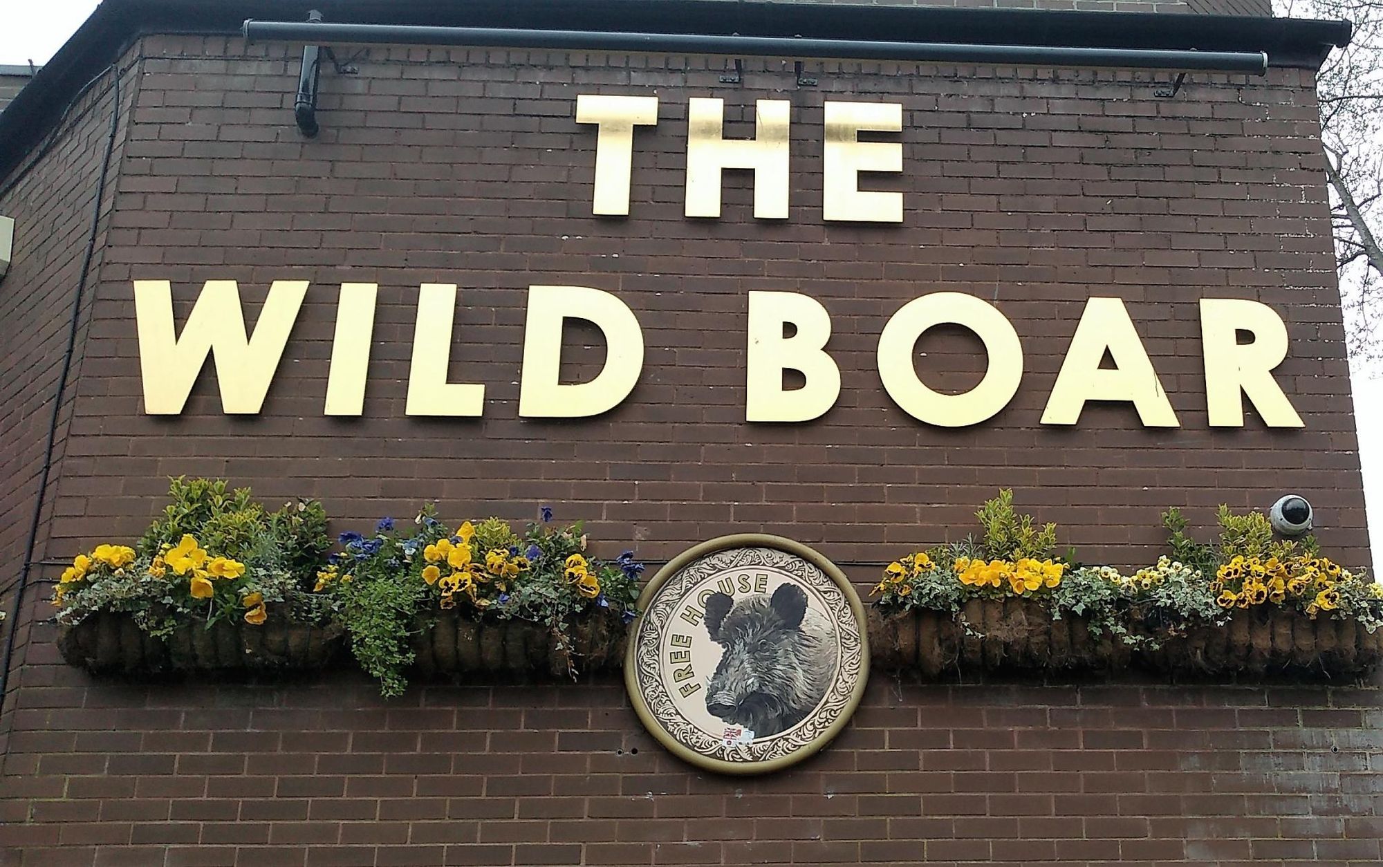 Wild Boar. (External, Sign). Published on 02-05-2023