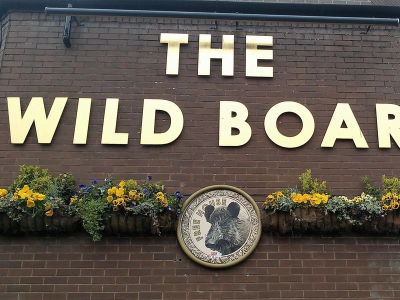 Wild Boar. (External, Sign). Published on 02-05-2023 