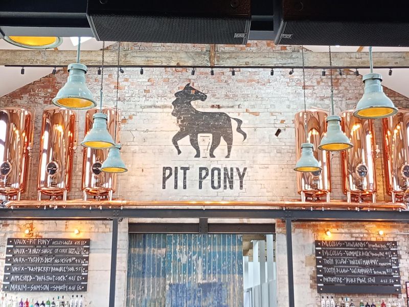 Pit Pony. (Bar). Published on 13-08-2024