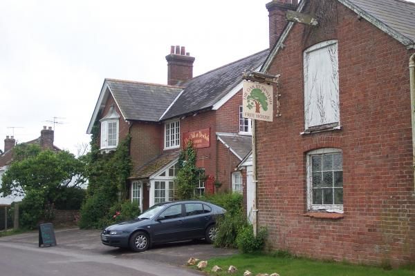 Oak at Dewlish. (Pub). Published on 15-06-2013