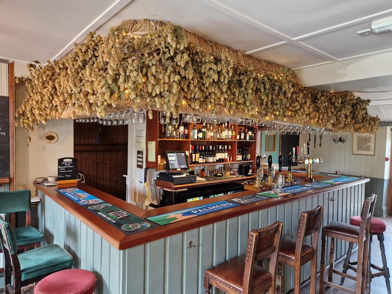 (Bar). Published on 08-06-2024