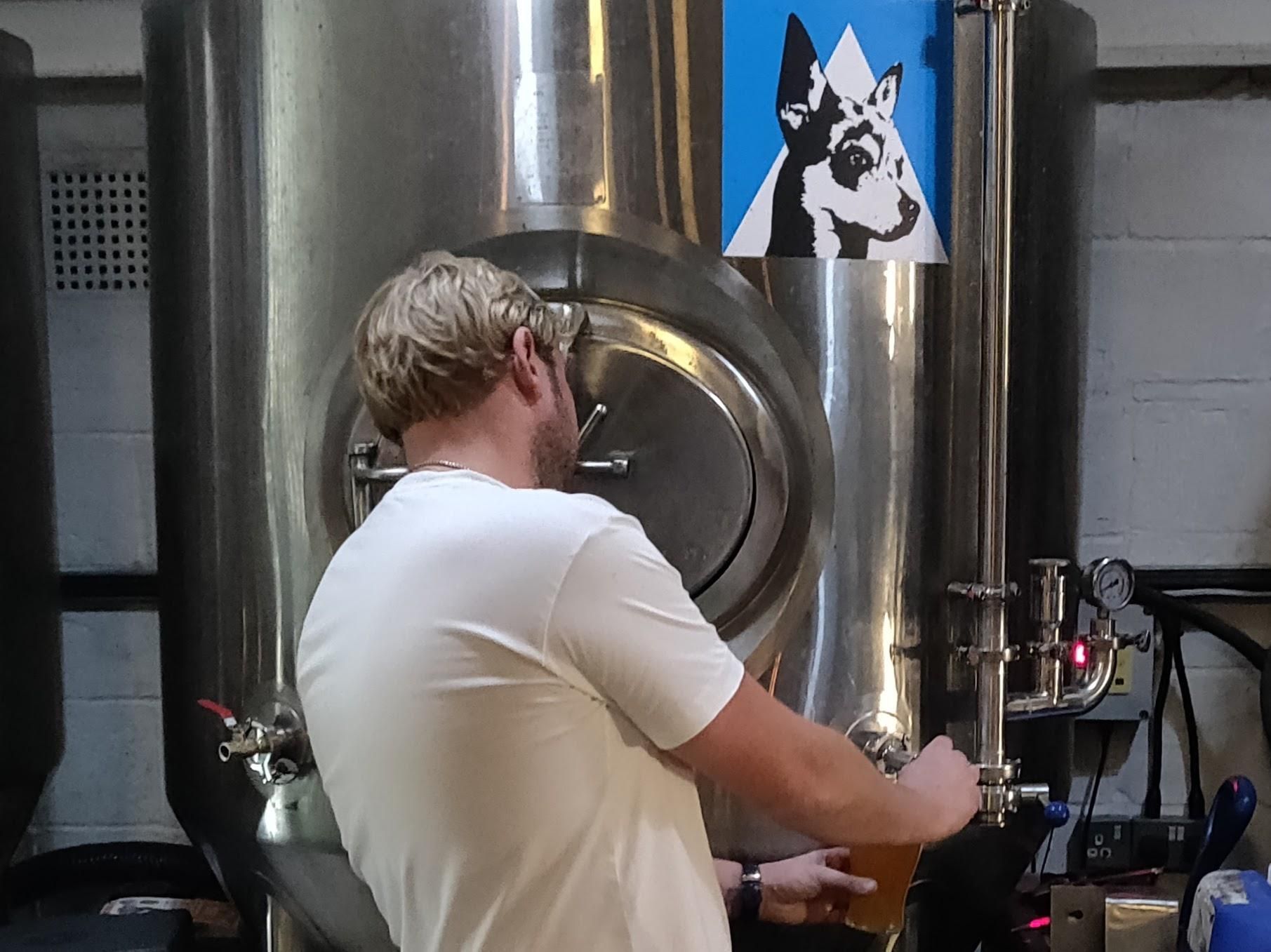 Dogs Grandad 20230929. (Brewery, Bar). Published on 30-09-2023