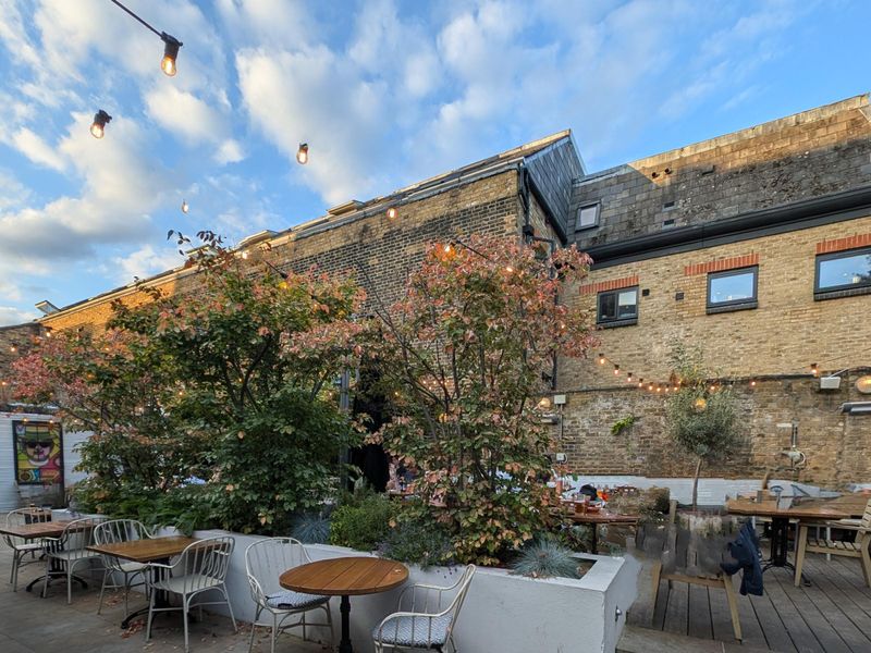 Apollo garden 2024-06-24. (Pub, Garden). Published on 24-06-2024