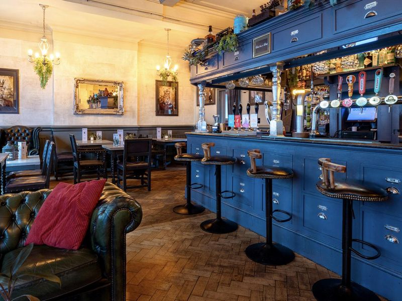 Cat's Back Wandsworth - Main Bar -2024-06. (Pub, Bar). Published on 09-07-2024 