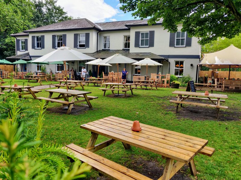 Telegraph Putney Heath - 2021-07-28. (Pub, External, Key). Published on 29-07-2021