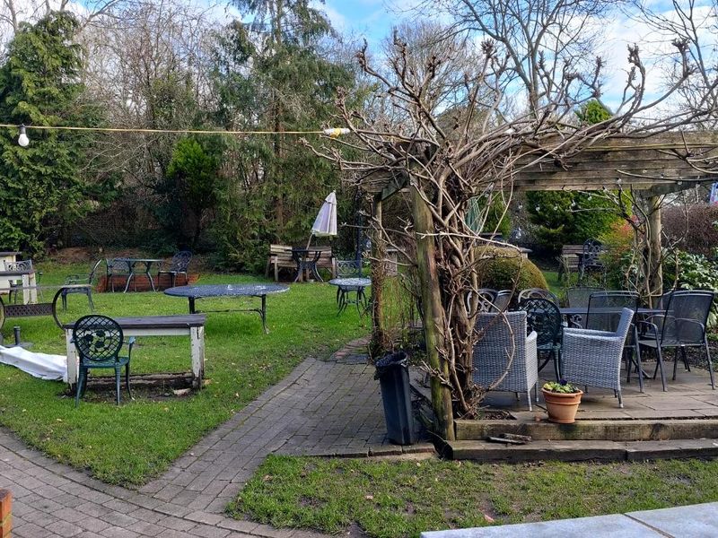 (Garden). Published on 08-02-2026 