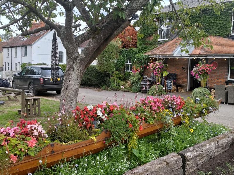 This is the skiff that used to hang in the Jolly Woodman. (Garden). Published on 15-09-2026