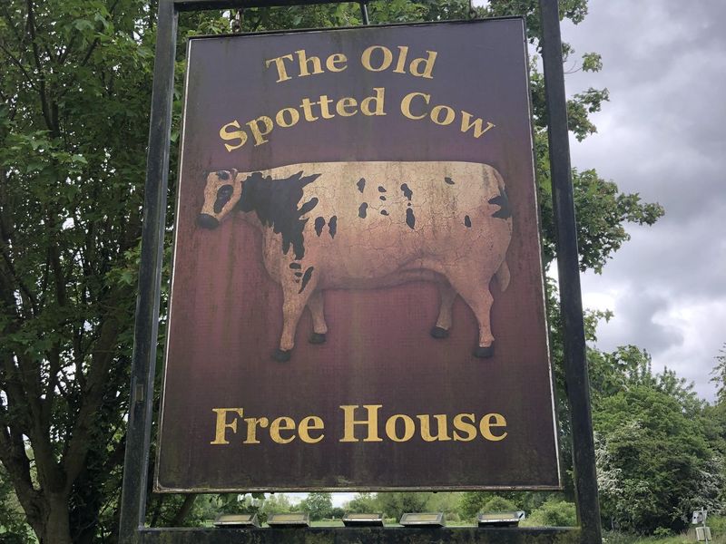 The Old Spotted Cow. (Sign). Published on 20-05-2026 