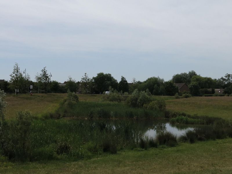 Lake view. (Pub, External). Published on 20-06-2022