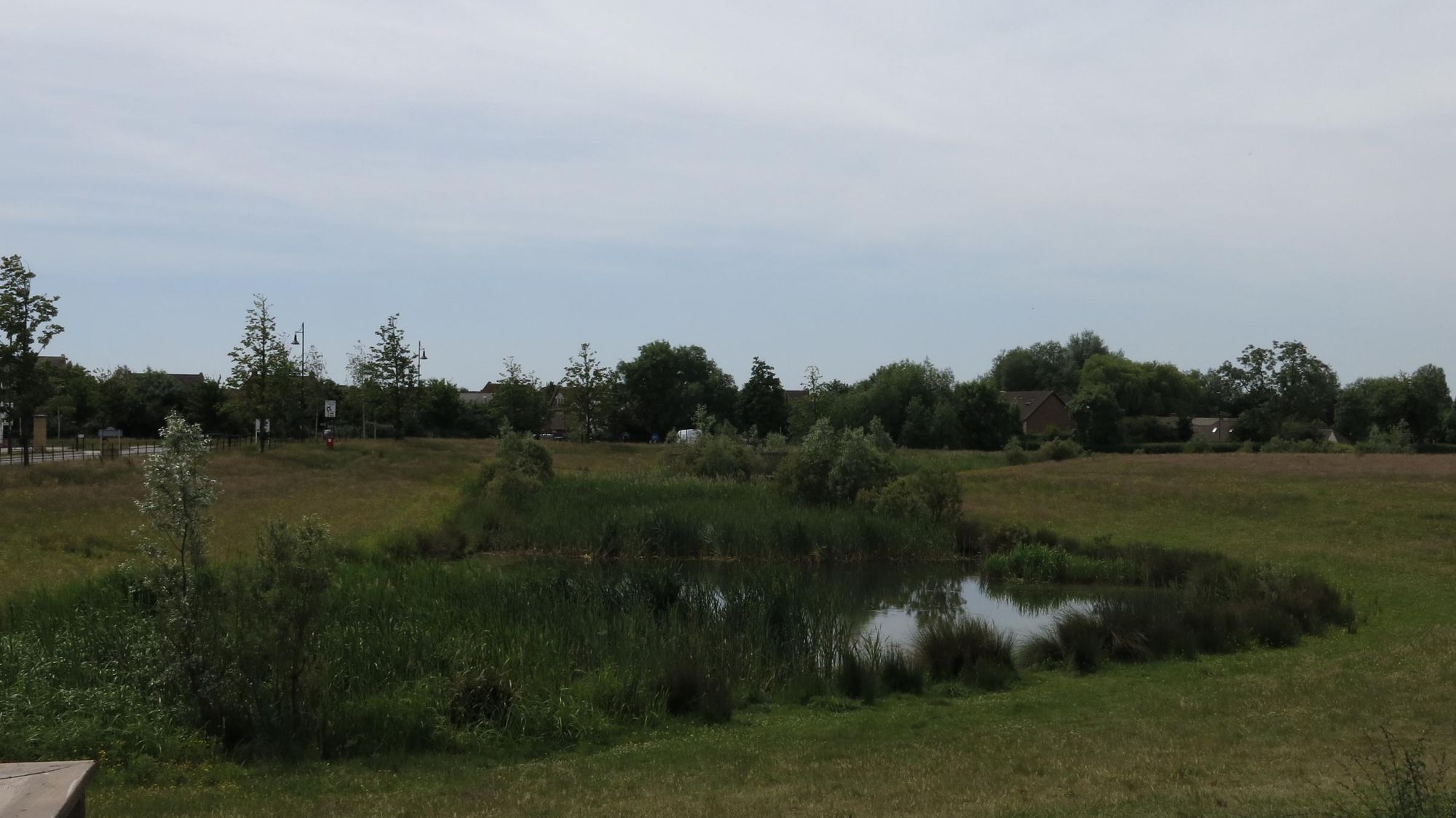 Lake view. (Pub, External). Published on 20-06-2022