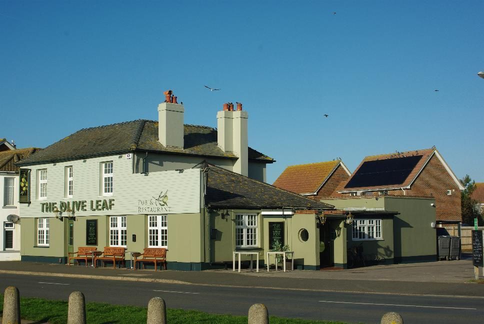 Olive Leaf. (Pub, External, Key). Published on 05-01-2022