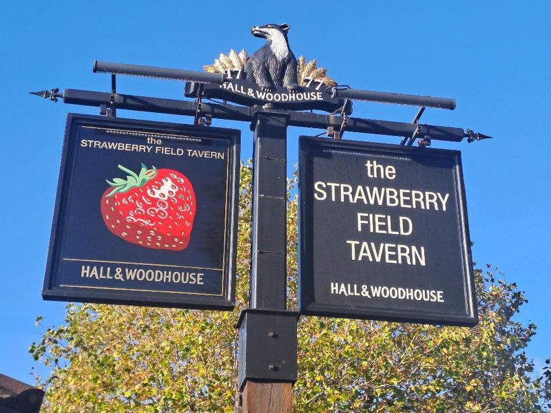 Pub Sign. (Pub, External, Sign). Published on 24-10-2024