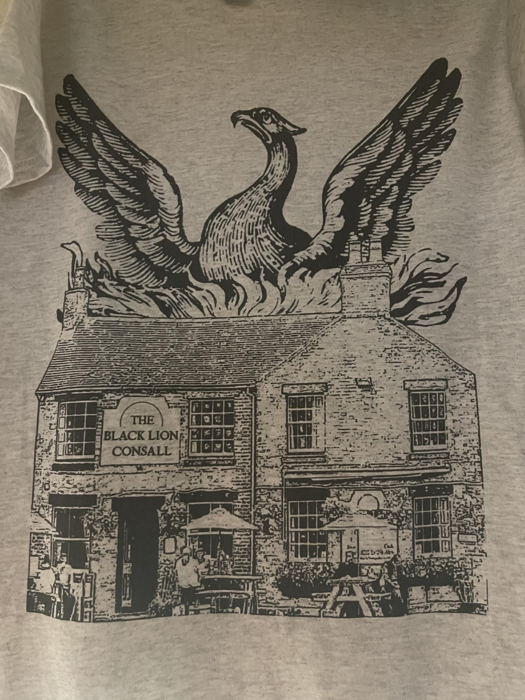 Phoenix T-Shirts. Published on 18-02-2024